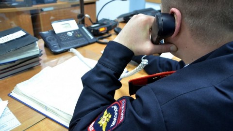 Полицейскими МВД по Чувашии установлена подозреваемая в дистанционном мошенничестве под предлогом продажи новогодних подарков